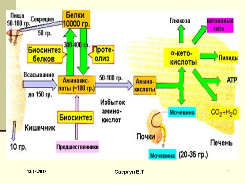 13.12.2017 3 Свергун В.Т.
